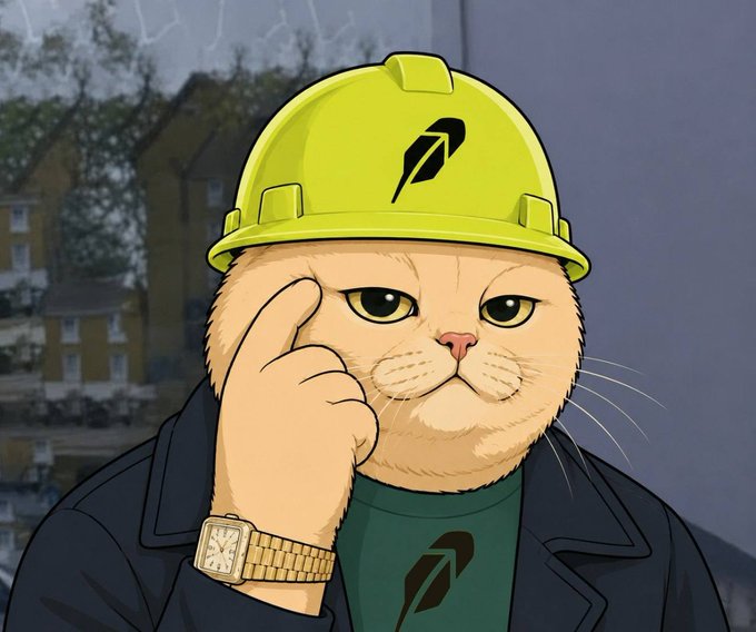 RobinhoodCat pointing to its temple in a knowing pose